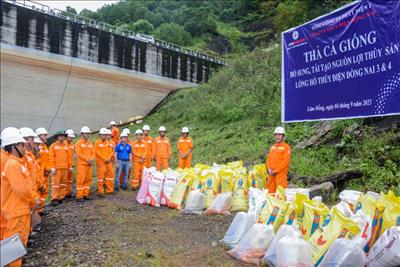 Thủy điện Đồng Nai 3 và Đồng Nai 4 tiếp tục chương trình tái tạo nguồn lợi thủy sản