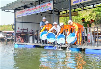 Công ty Thủy điện Đồng Nai phối hợp thả 40 ngàn cá giống tái tạo nguồn lợi thủy sản trên Hồ thủy điện Đồng Nai 3