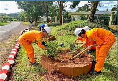 Công ty Thủy điện Đồng Nai triển khai nhiều hoạt động thiết thực hưởng ứng Tháng hành động vì môi trường năm 2026