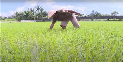 Công ty Thủy điện Đồng Nai đảm bảo điều tiết nước cho hạ du