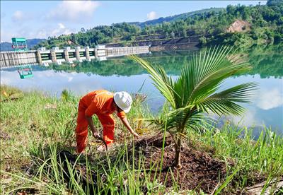 Đoàn thanh niên Công ty Thủy điện Đồng Nai chăm sóc và trồng thêm các cây xanh 